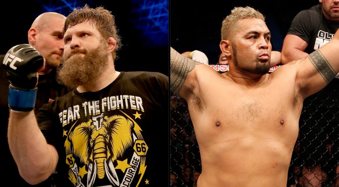 Mark Hunt And Roy Nelson